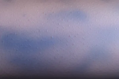 Illustration prickle - Image 1