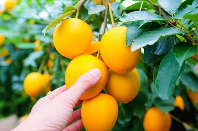 Illustration grabbing - Image 1