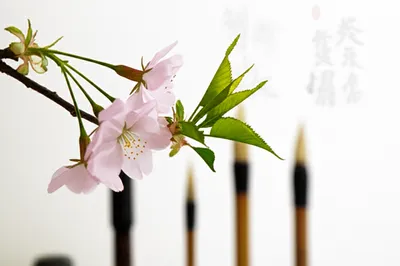 Illustration kanji - Image 1