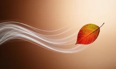 Illustration blown - Image 1