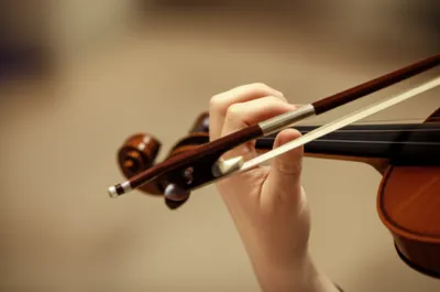 Illustration bows - Image 1