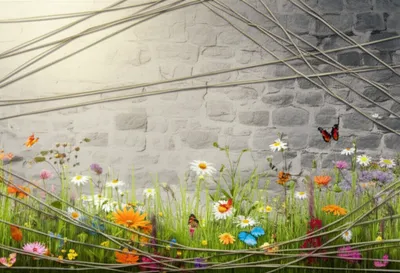 Illustration tapestries - Image 1