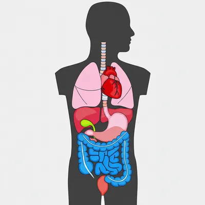 Illustration inside - Image 1