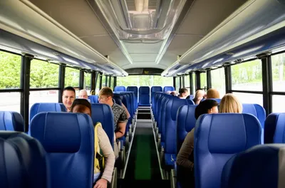 Illustration coach - Image 1