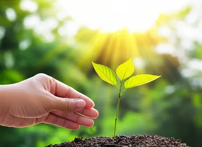 Illustration erect - Image 1