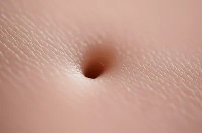 Illustration pore - Image 1