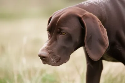 Illustration point - Image 1