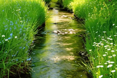 Illustration rill - Image 1