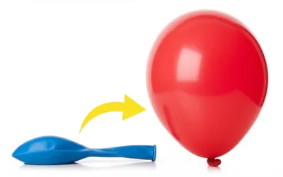 Illustration volume - Image 1