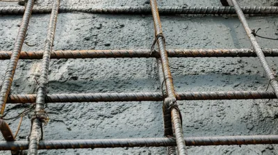 Illustration rod - Image 1