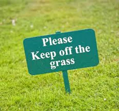 Illustration precept - Image 2