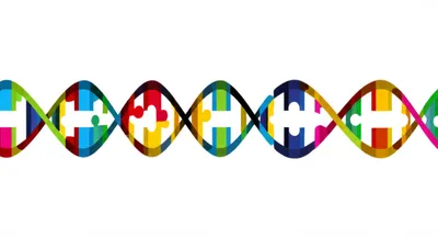 Illustration variants - Image 1