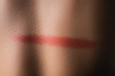 Illustration wale - Image 1