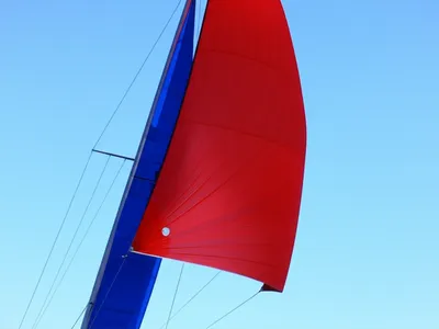 Illustration leech - Image 1