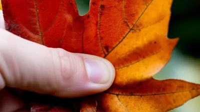 Illustration crumpling - Image 1