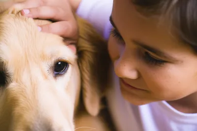 Illustration petted - Image 1