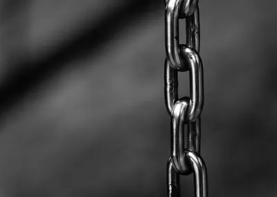 Illustration hobble chains - Image 1
