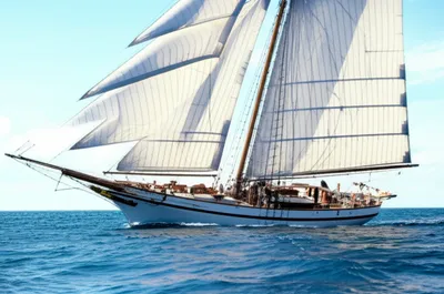 Illustration lees - Image 1