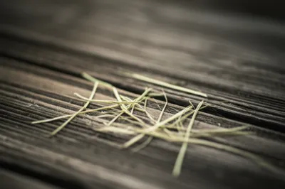 Illustration lock - Image 1