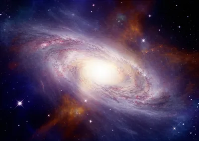 Illustration sperm - Image 1