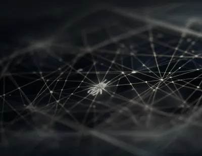 Illustration bug - Image 1