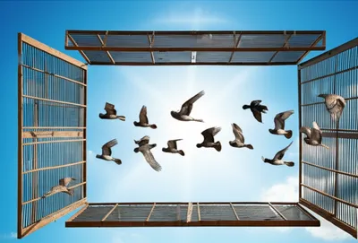 Illustration despatched - Image 1