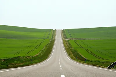 Illustration extended - Image 1