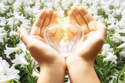 Illustration honest - Image 1