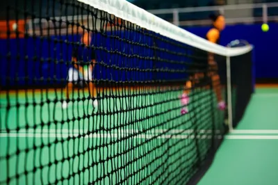 Illustration nets - Image 1