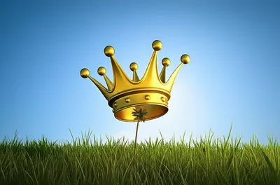 Illustration humble - Image 1