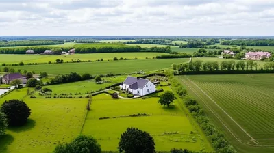 Illustration estate - Image 1