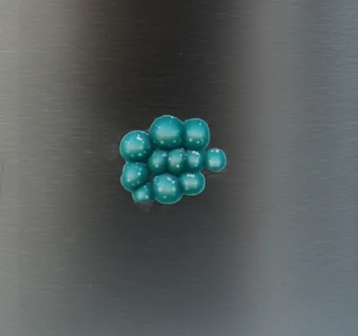 Illustration grape - Image 1