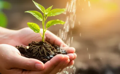 Illustration nurses - Image 1