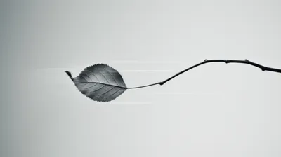 Illustration fluctuation - Image 1