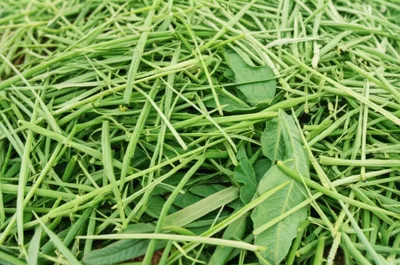 Illustration browse - Image 1