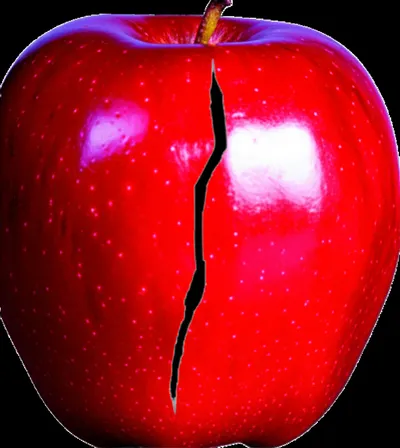 Illustration scratch - Image 1