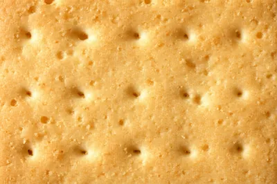 Illustration rusk - Image 1