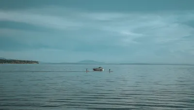 Illustration calms - Image 2