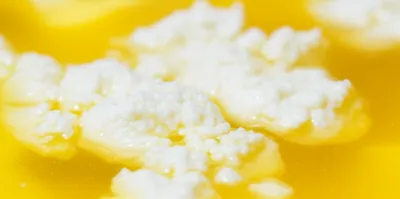 Illustration curds - Image 1