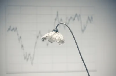 Illustration wavers - Image 1