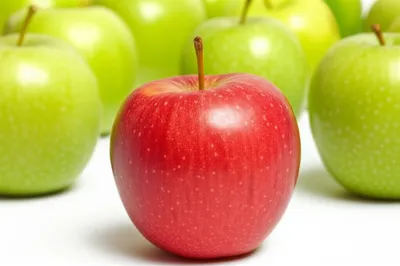 Illustration particularly - Image 1