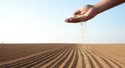 Illustration broadcast - Image 1