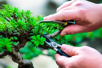 Illustration diligences - Image 1