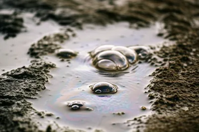 Illustration seep - Image 1