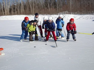 Illustration shinny - Image 1