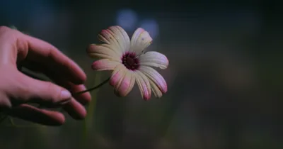 Illustration molests - Image 1