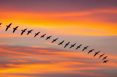 Illustration synchronizing - Image 1