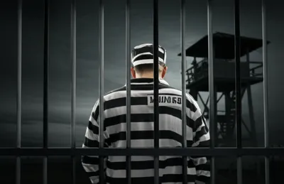 Illustration jug - Image 1