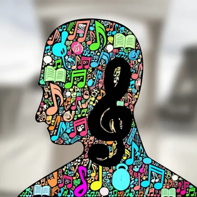 Illustration fixation - Image 1