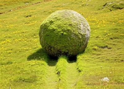 Illustration troll - Image 1